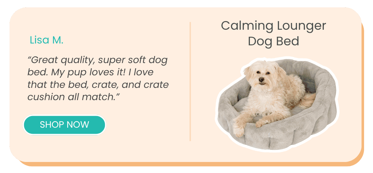 Calming Lounger Dog Bed