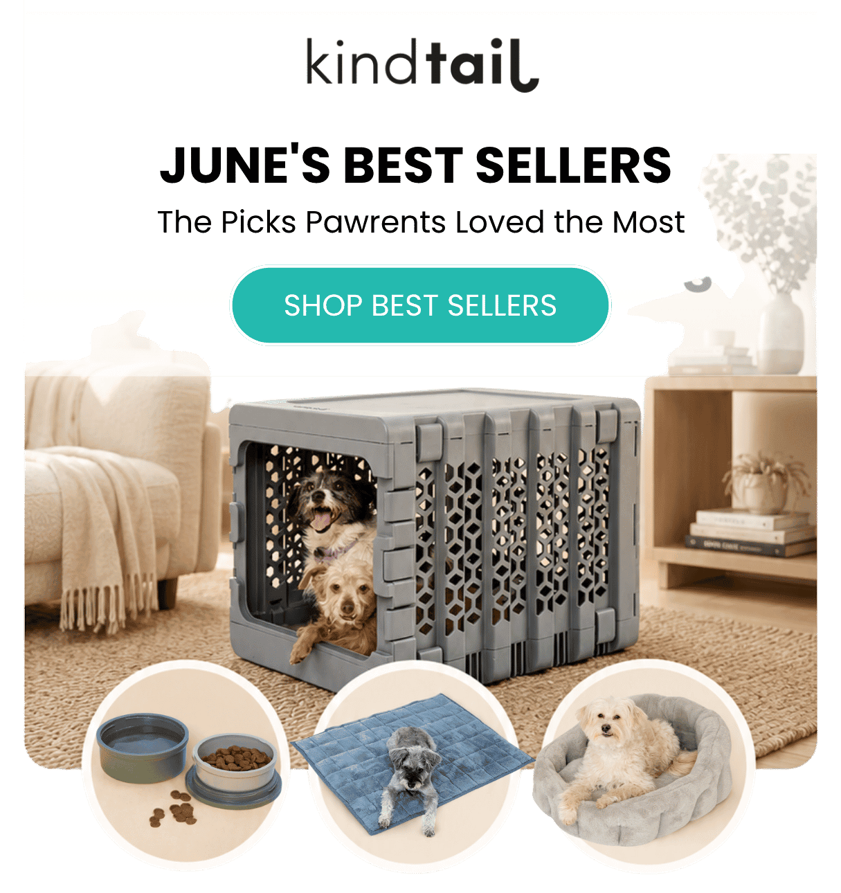 June's Best Sellers  The Picks Pawrents Loved the Most