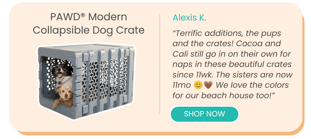 PAWD® Modern Collapsible Dog Crate