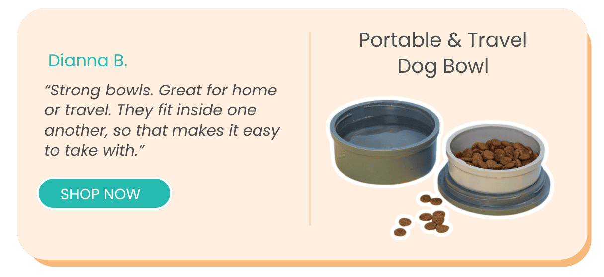 Portable and Travel Dog Bowl