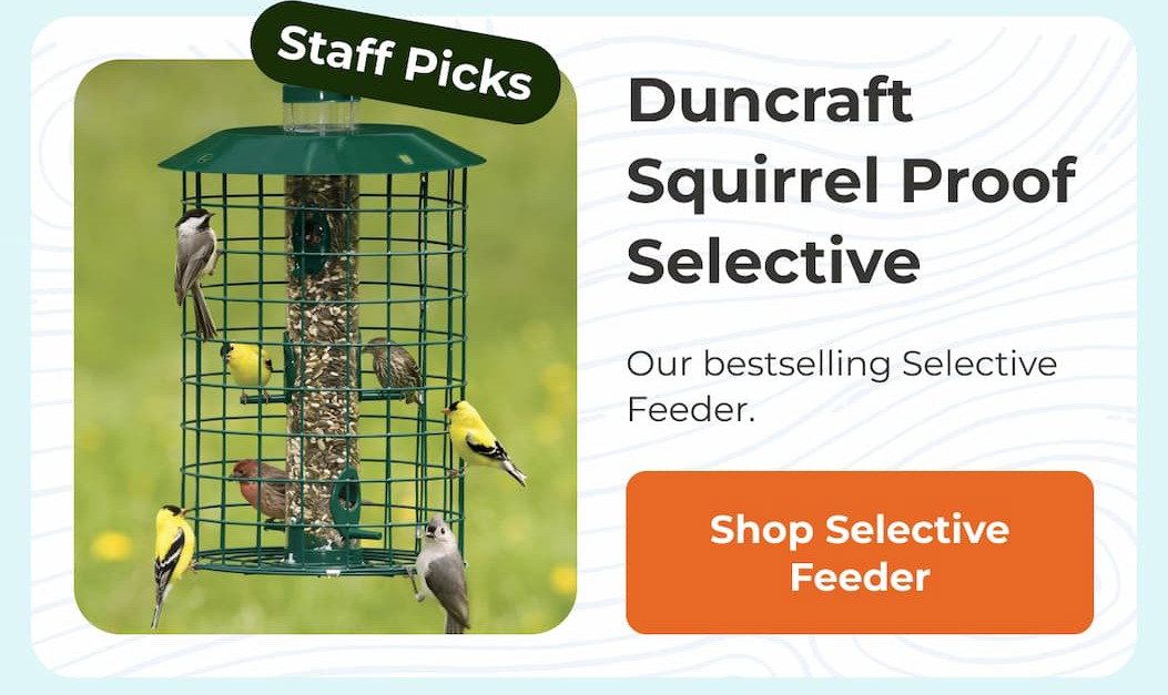 Duncraft Squirrel Proof Selective