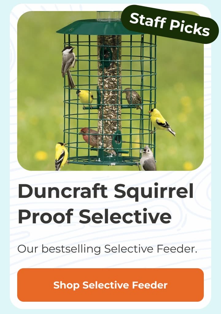 Duncraft Squirrel Proof Selective