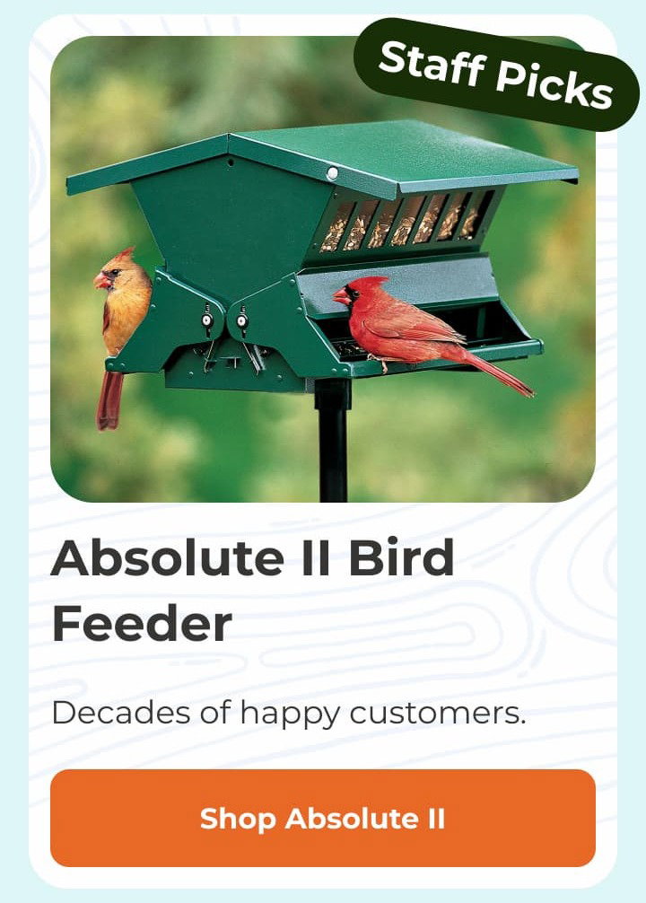 Absolute II Bird Feeder