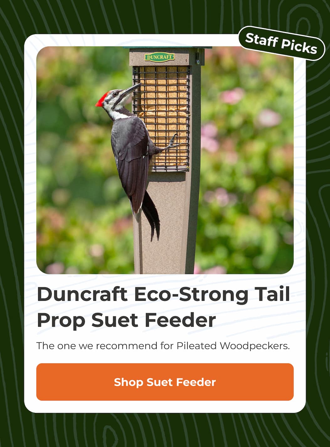 Duncraft Eco-Strong Tail Prop Suet Feeder