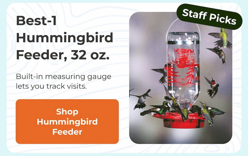 Best-1 Hummingbird Feeder, 32 oz.