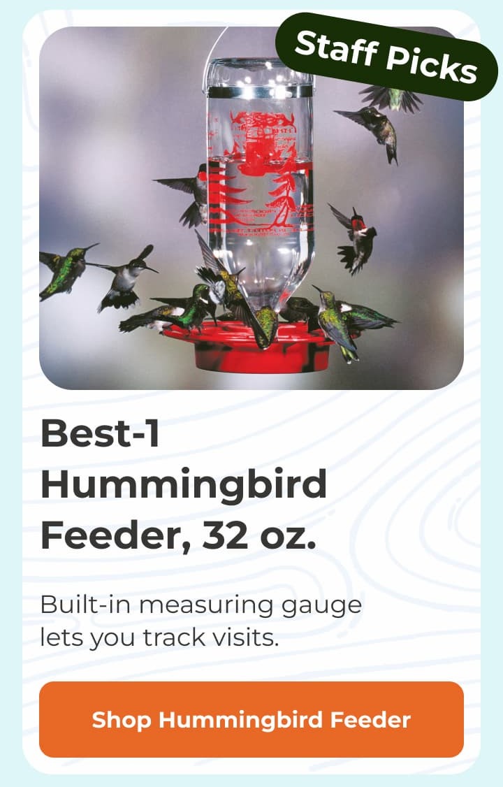 Best-1 Hummingbird Feeder, 32 oz.
