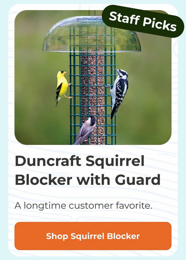 Duncraft Squirrel Blocker with Guard