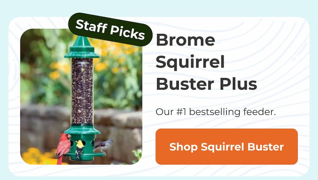 Brome Squirrel Buster Plus