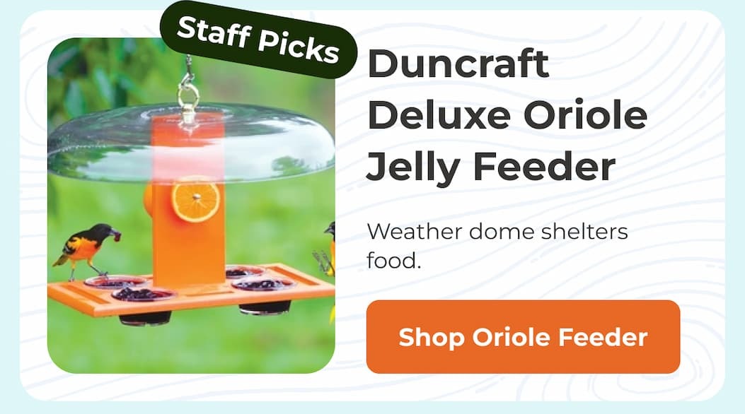 Duncraft Deluxe Oriole Jelly Feeder