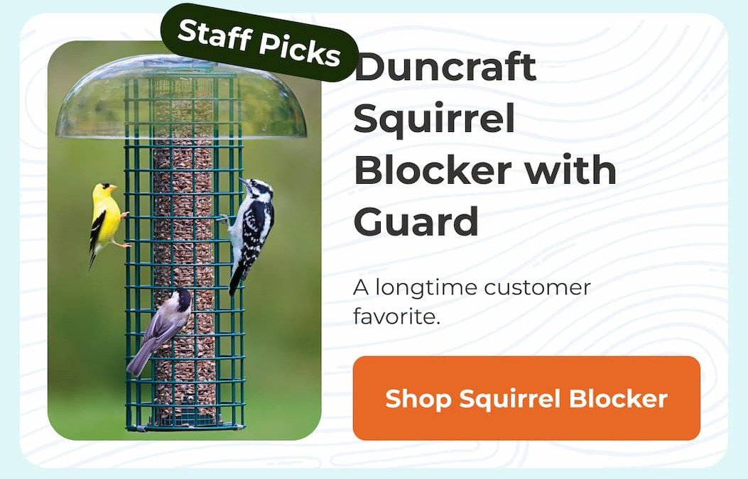 Duncraft Squirrel Blocker with Guard