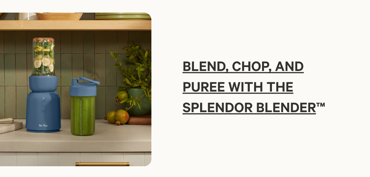 Blend, chop, and puree with the Splendor Blender™
