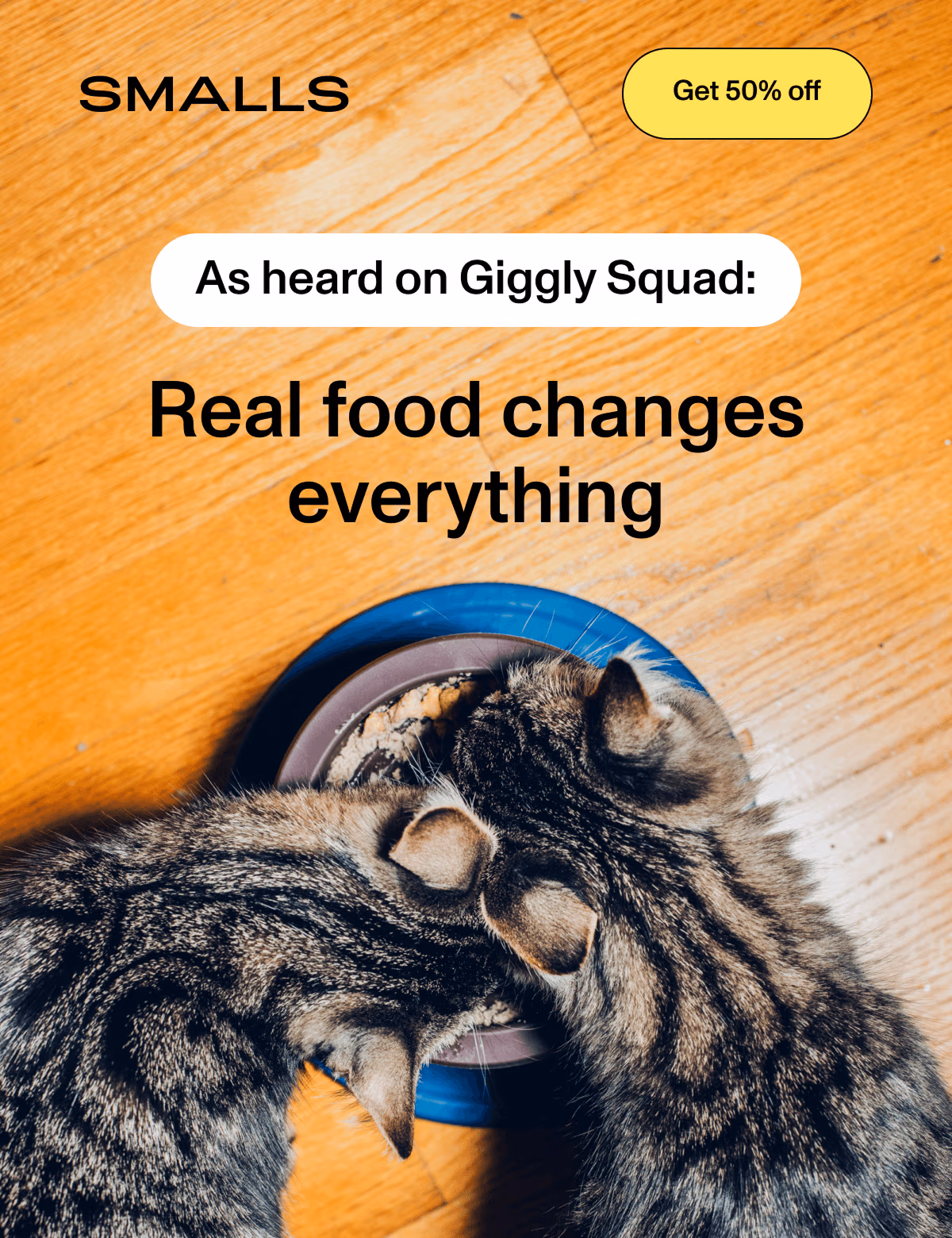 Smalls: Get 50% off. As heard on Giggly Squad: 'Real food changes everything' featuring two tabby cats eating side by side from a bowl on a hardwood floor.