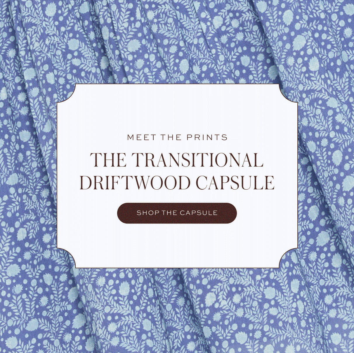 Meet the Prints: The Transitional Driftwood Capsule