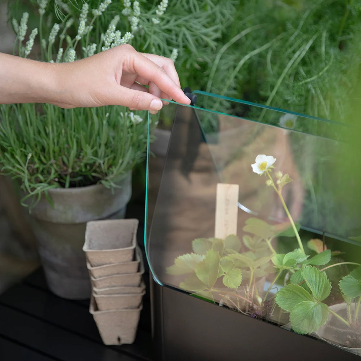 Elementi essenziali per il giardinaggio