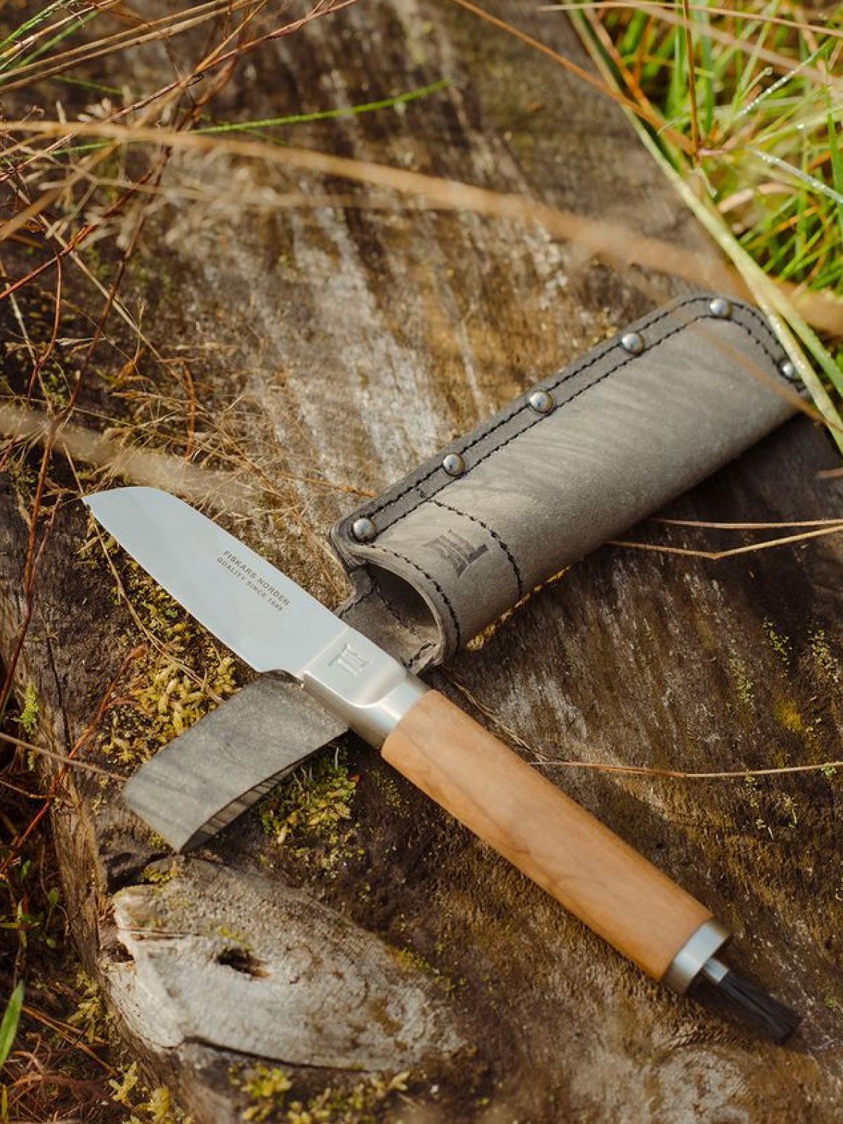 Coltello per funghi Fiskars LAB con spazzola