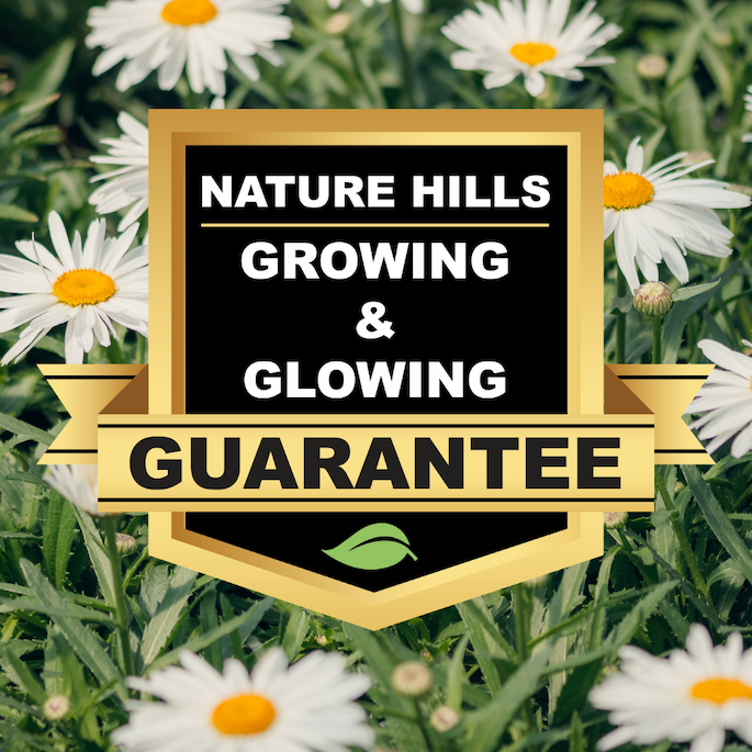 Blooming Dasies with a badge showing the Nature Hills Growing & Glowing Warranty