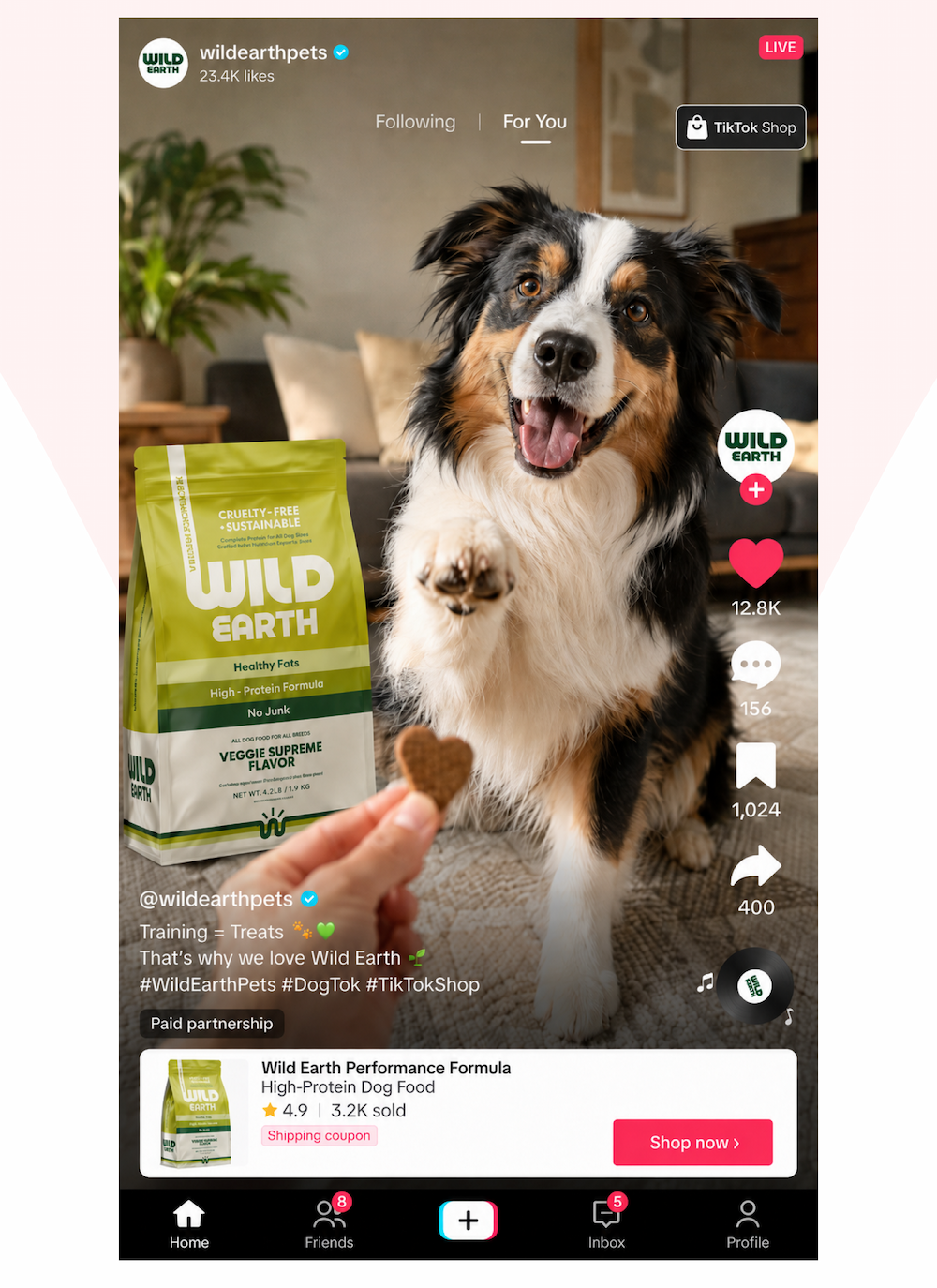 Dog Graphic posted on Tiktok 