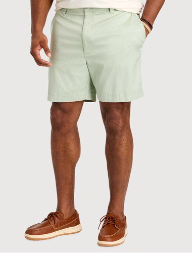 Printed Chino Shorts