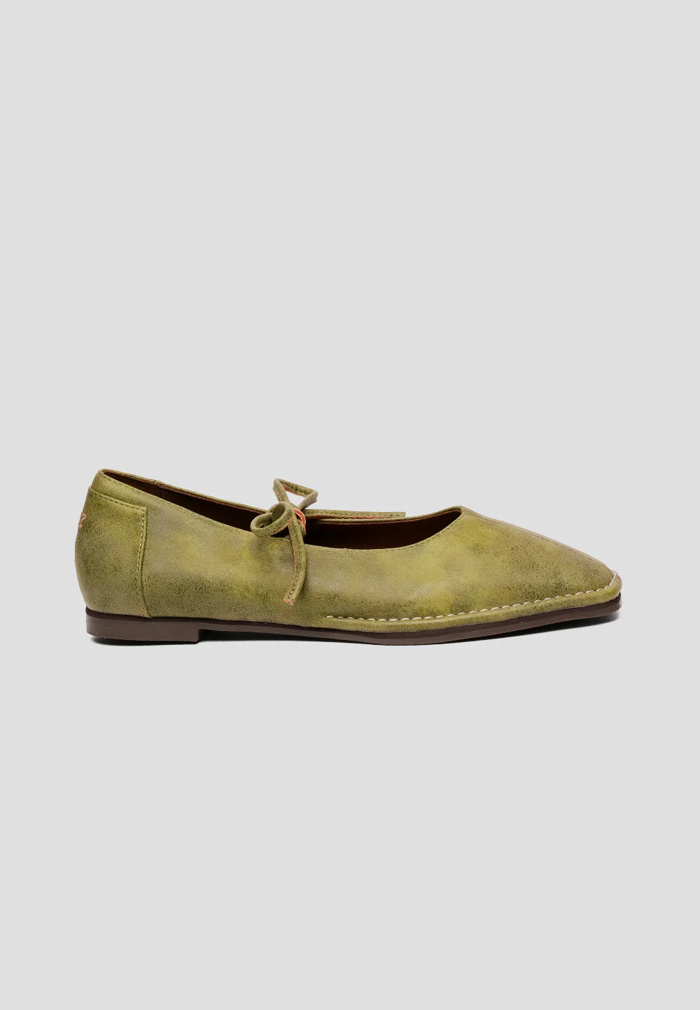 Tulipa Sycamore Green