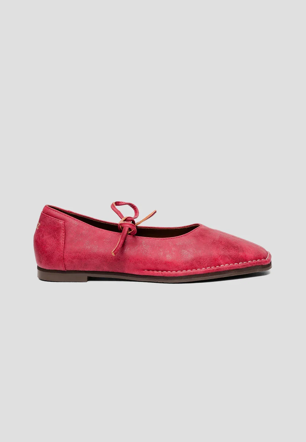 Tulipa Burgundy