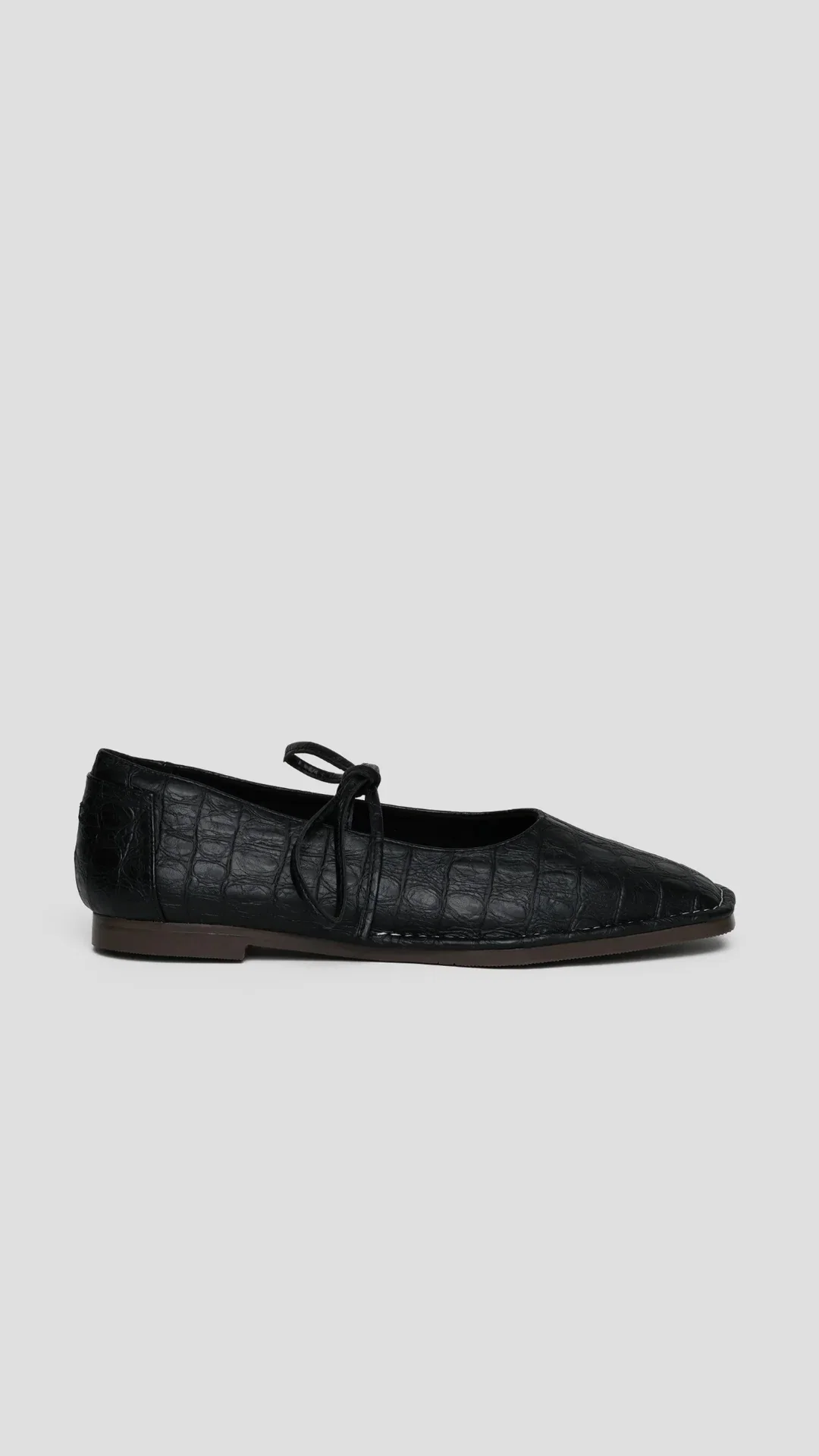 Tulipa Crocodile Black