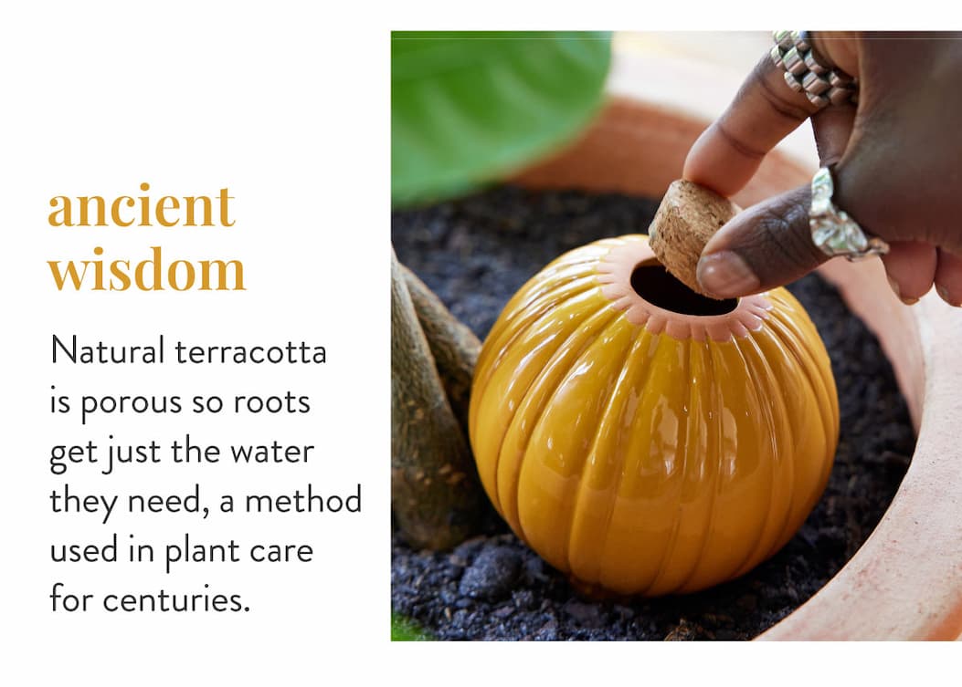 Ancient Wisdom: Natural terracottais porous so rootsget just the water they need, a method used in plant carefor centuries.