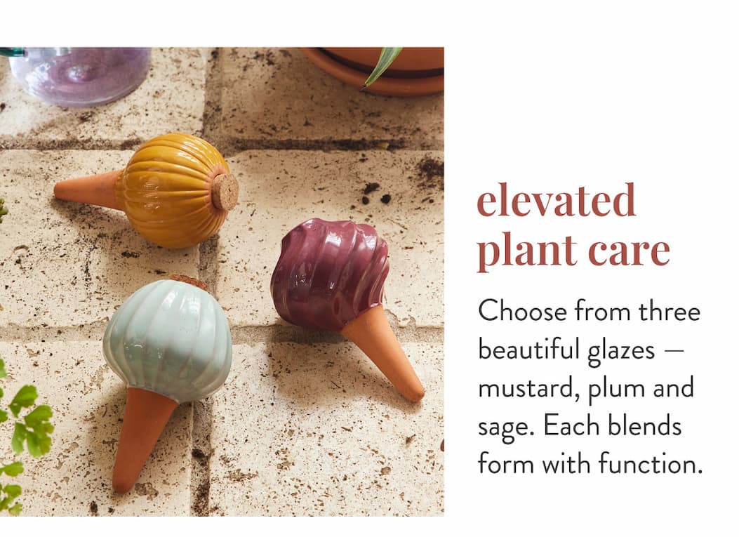 Elevated Plant Care: Choose from three beautiful glazes — mustard, plum and sage. Each blends form with function.