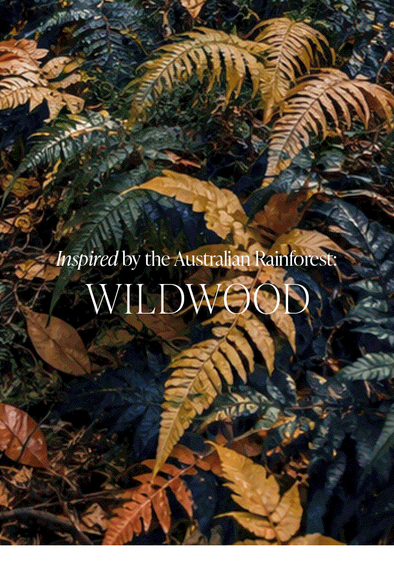 Shop WIldwood