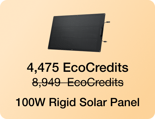 4,475 EcoCredits 8,949 EcoCredits 100W Rigid Solar Panel