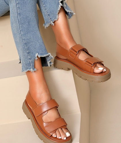 DAGMAR CAMEL