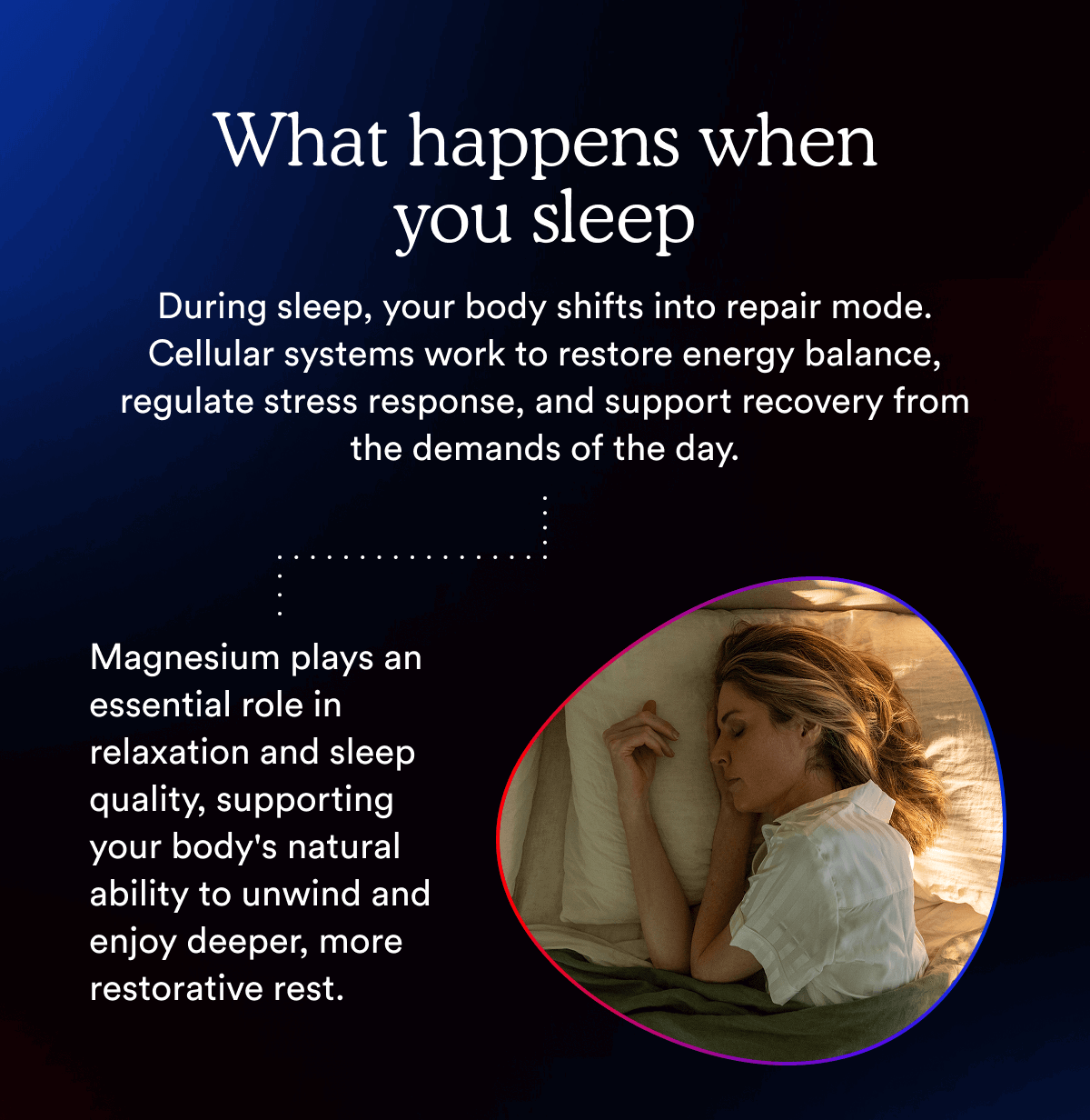 What happens when you sleep