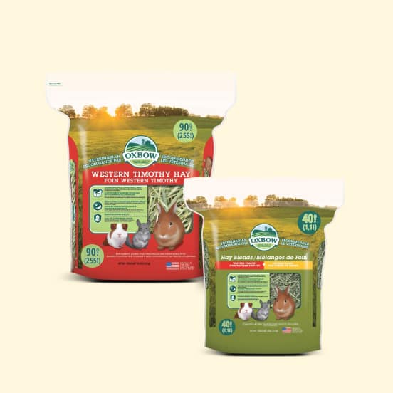 Oxbow Small Animal Hay