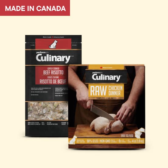 Performatrin Culinary Dog Food