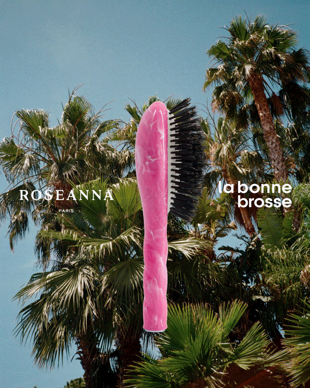 ARTHUS BERTRAND x ROSEANNA