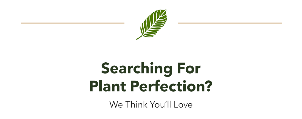 Searching For Plant Perfection?