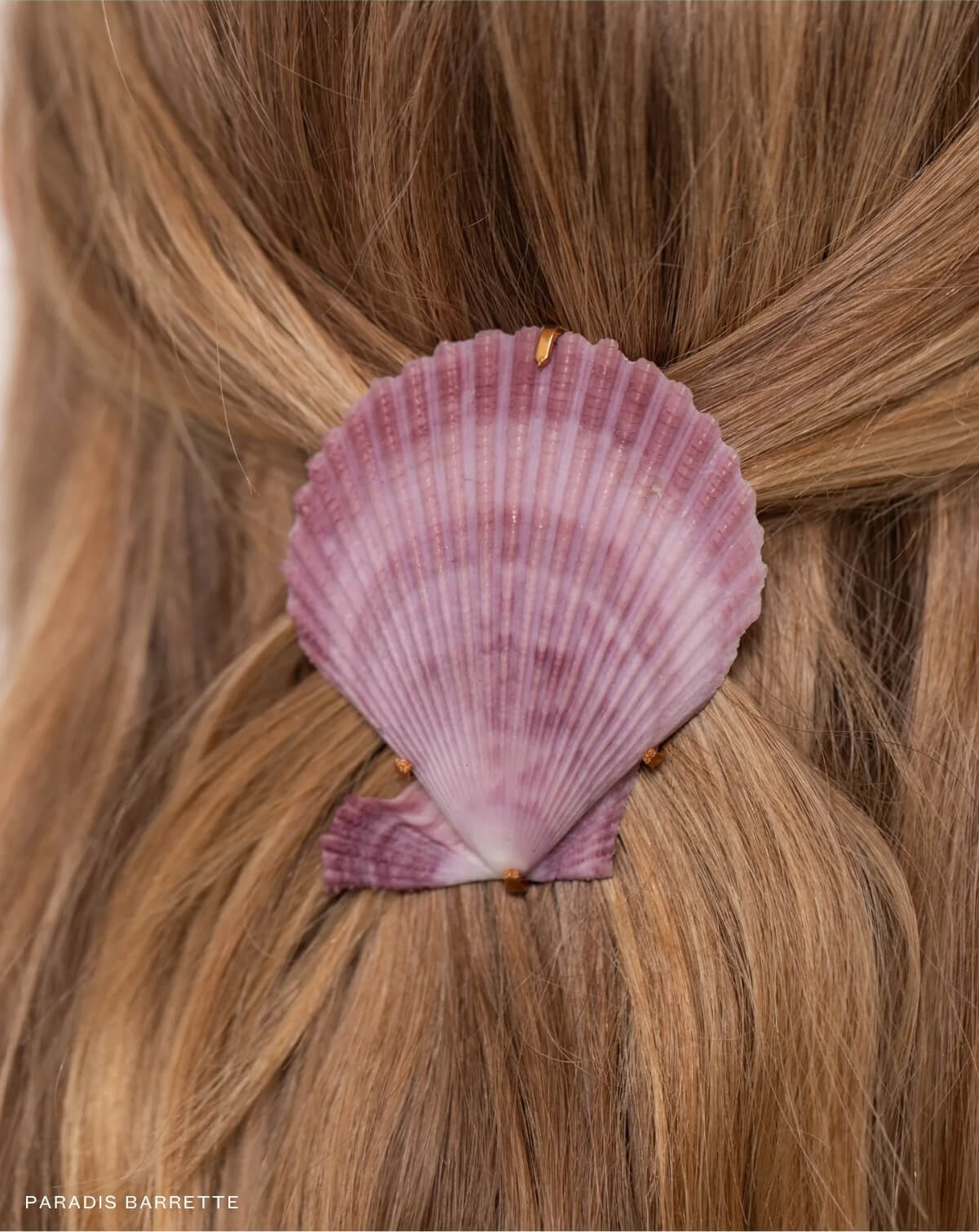 Paradis Barrette