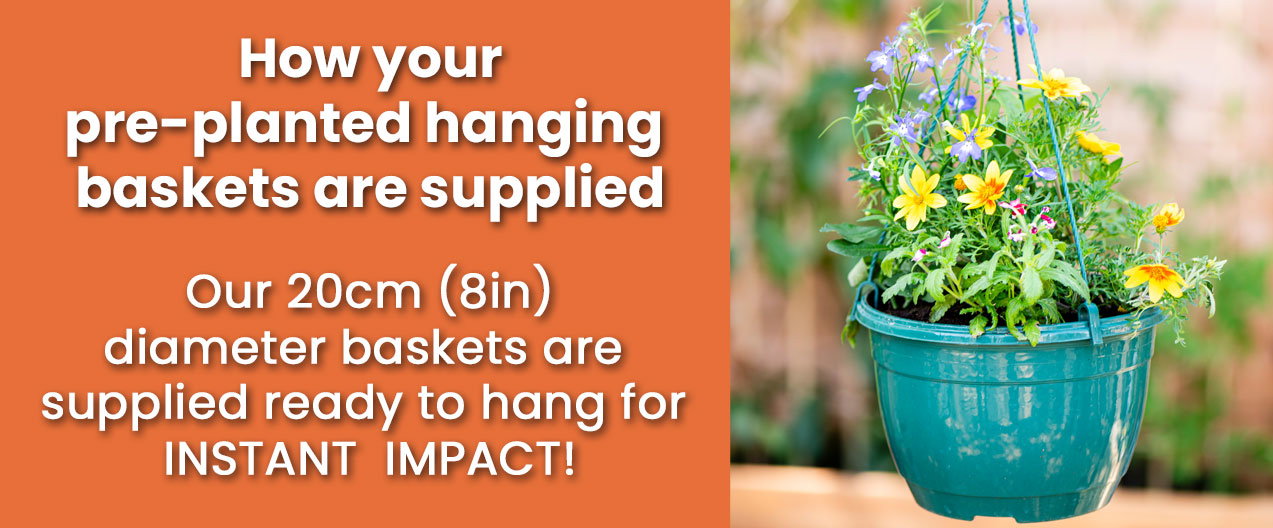 How your baskets are supplied