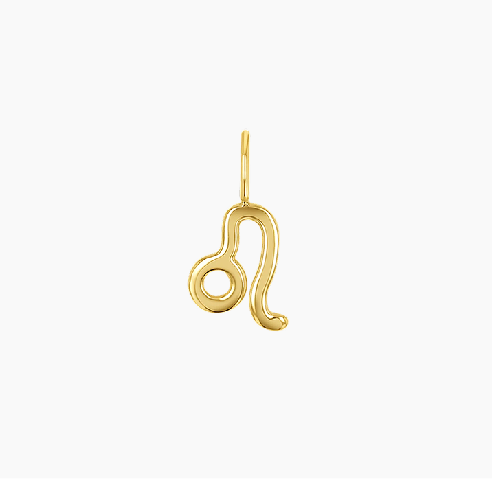 Zodiac Charm