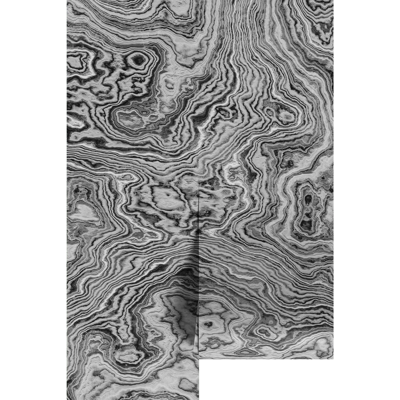 Image of Black and White Burl Wood Wall Mural