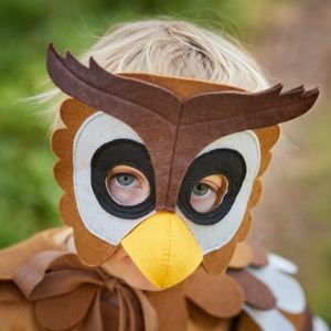 Free Owl Wings Costume