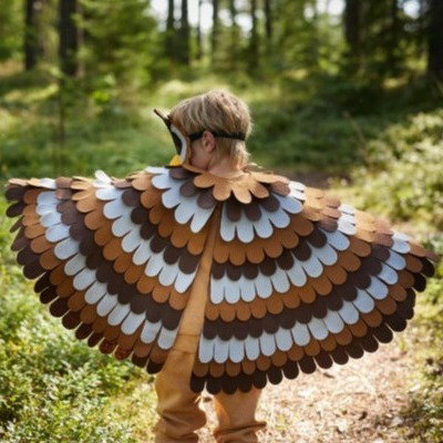 FREE Bird Wings Costume