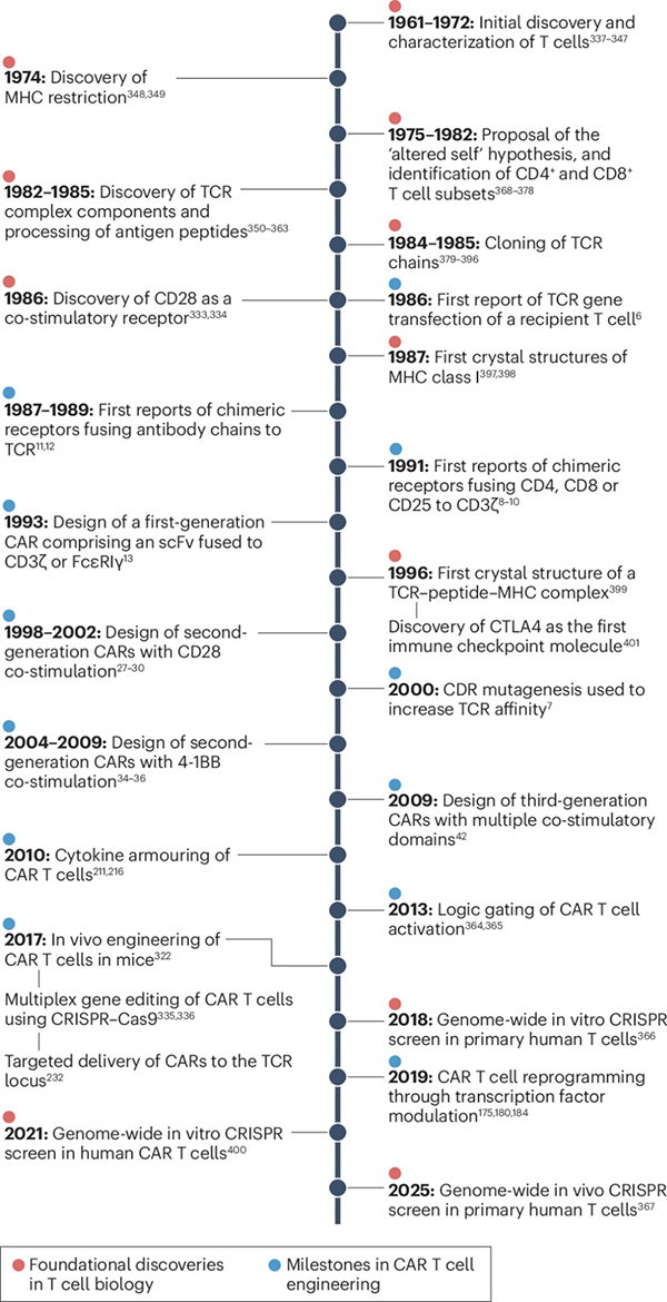 A timeline of the discoveries that led to the creation of CAR T cells. 