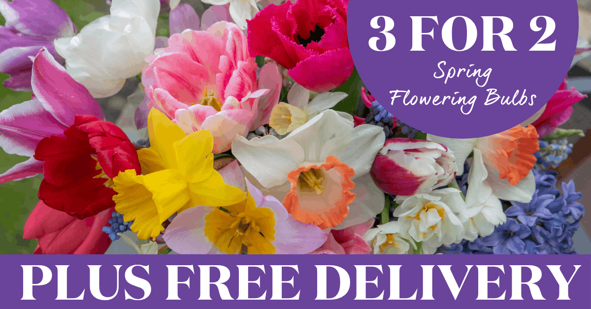 Buy 4 or more & save 35%