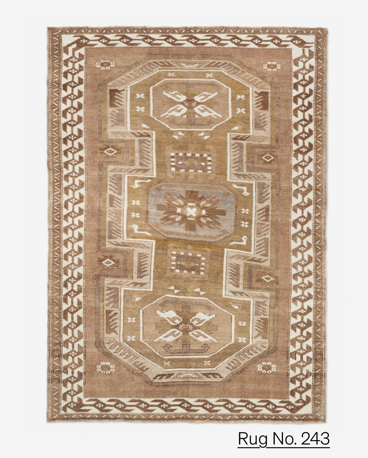 Shop Rug No.243