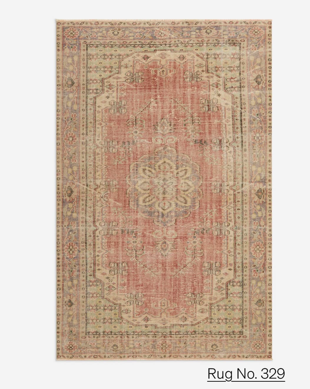 Shop Rug No.329