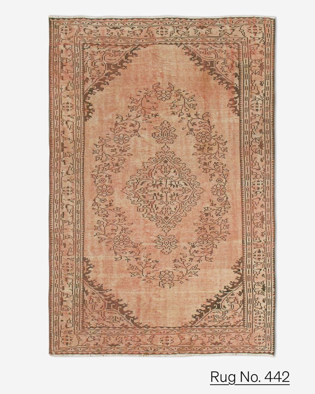 Shop Rug No.442