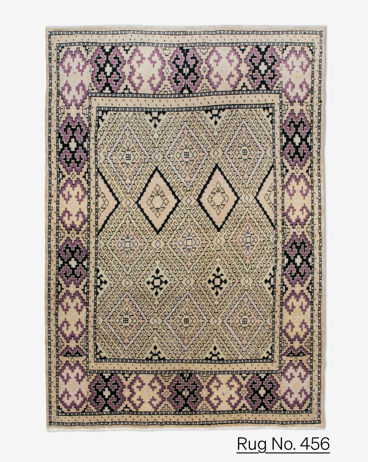 Shop Rug No.456