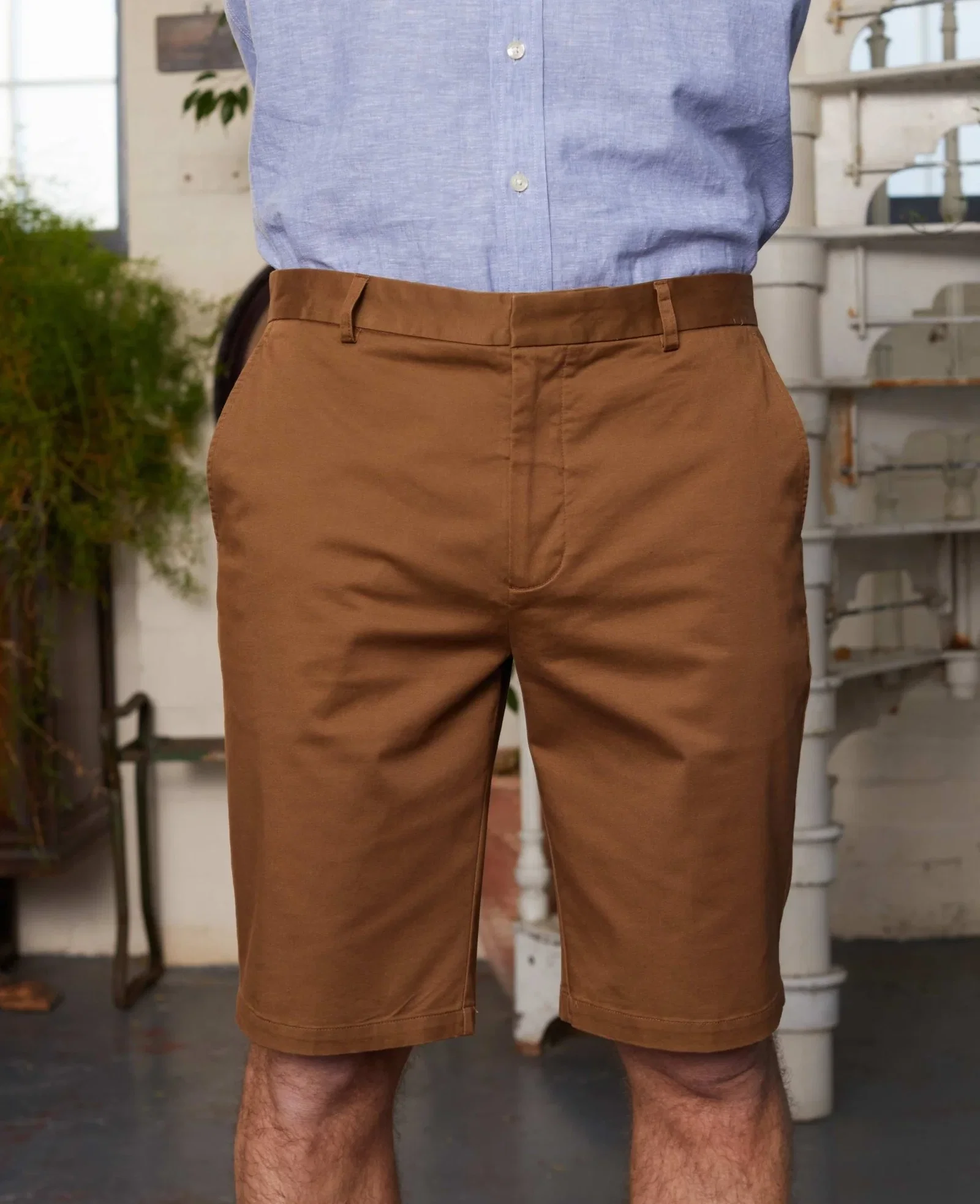 Image of Cappuccino Stretch Cotton Tailored Fit Chino Shorts
