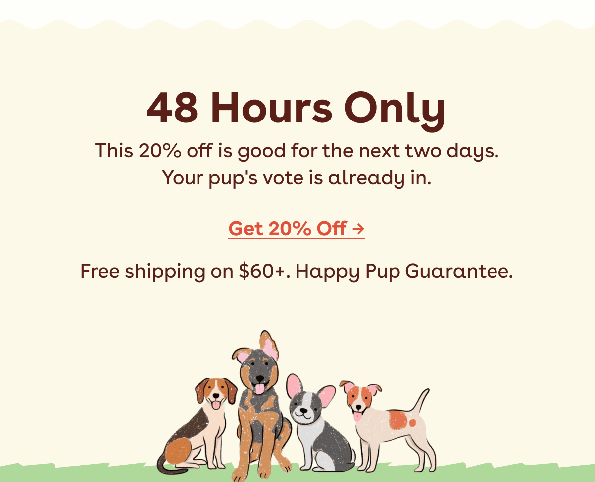 48 hours only 