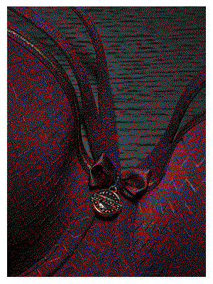 DDP AUBERGINE